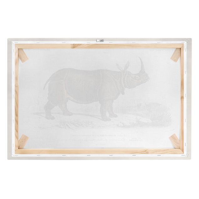 Tableau marron moderne Tableau Botanique Rhino