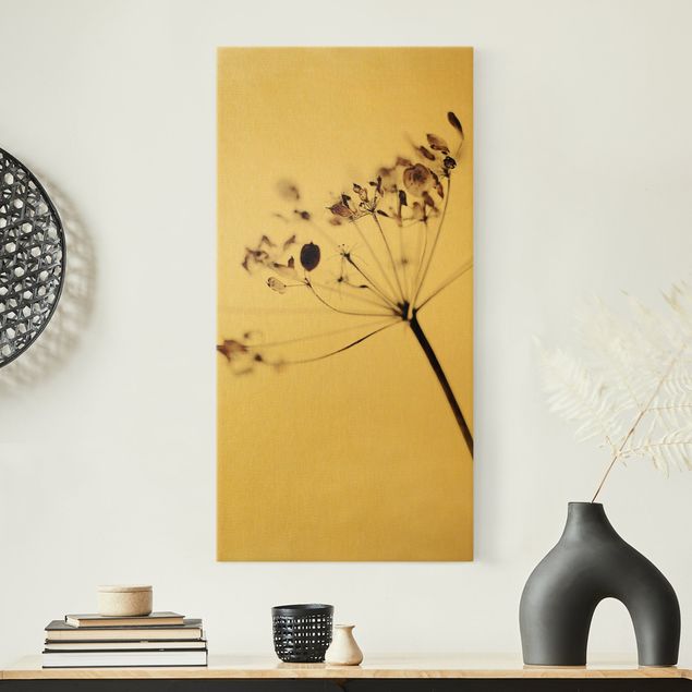 Tableaux sur toile avec herbes Macrophoto Fleurs Séchées dans l'Ombre