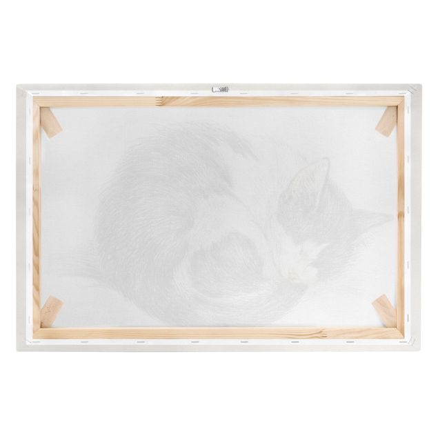 Tableaux noir et blanc Vintage Drawing Cat II