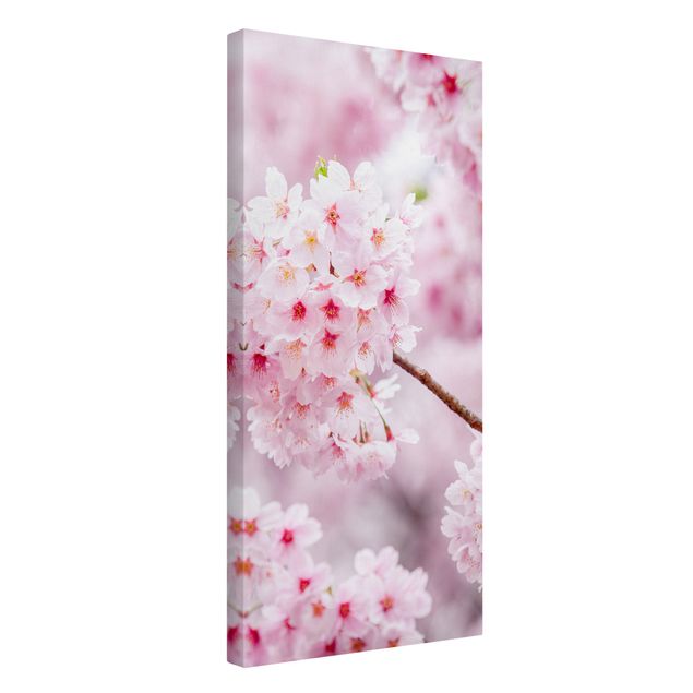 Tableaux moderne Japanese Cherry Blossoms