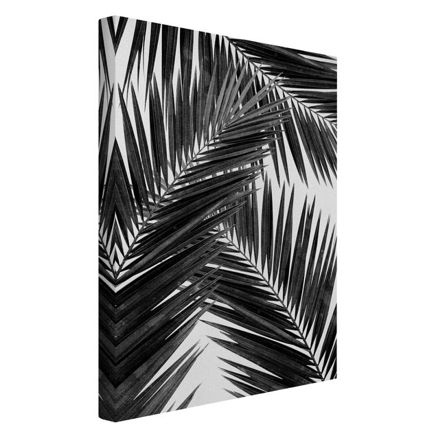 Tableaux sur toile en noir et blanc Vue sur des feuilles de palmier noir et blanc