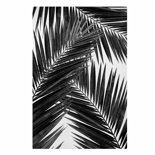 Tableau moderne Vue sur des feuilles de palmier noir et blanc