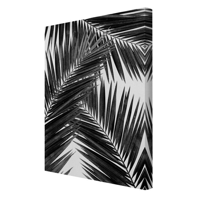 Tableaux noir et blanc Vue sur des feuilles de palmier noir et blanc