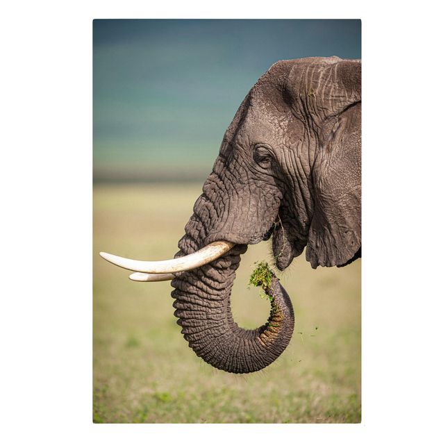Tableau moderne Nourrir des éléphants en Afrique