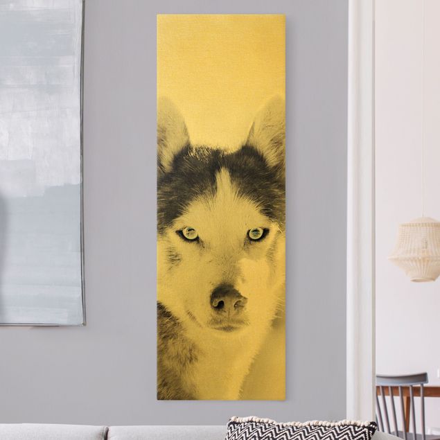 Tableau chien Portrait d'un Husky