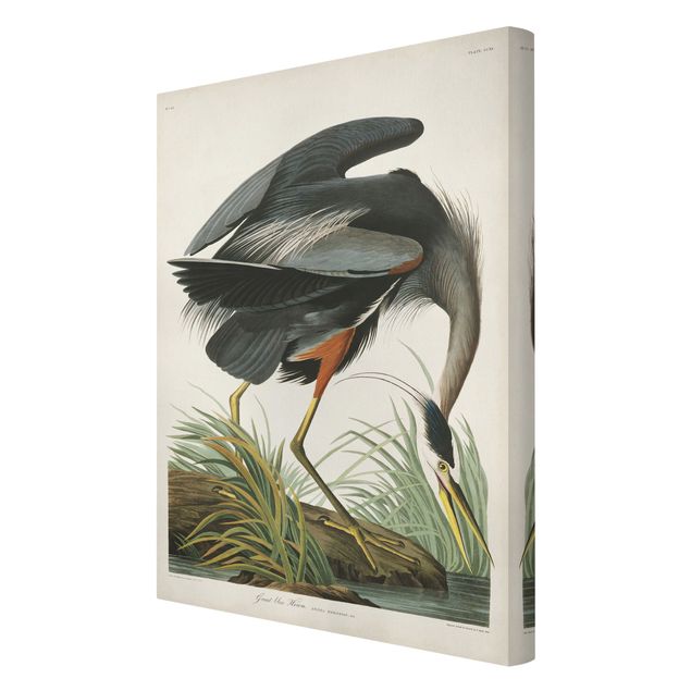 Tableau gris Tableau Botanique Blue Heron