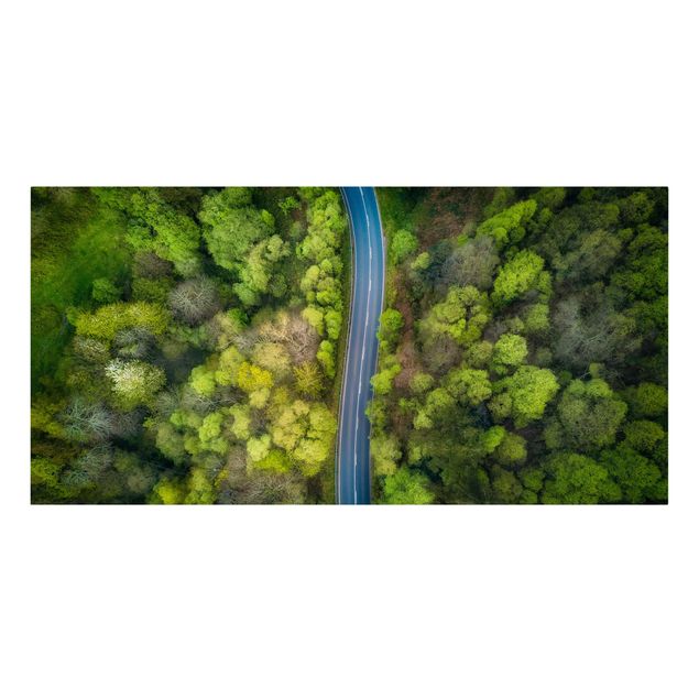 Tableau deco nature Vue aérienne - Route asphaltée dans la forêt