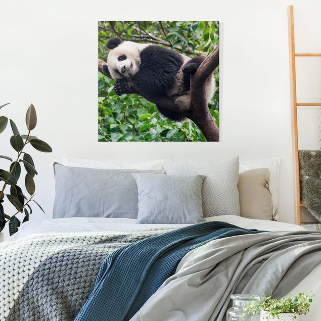Tableau paysage Panda endormi sur une branche d'arbre
