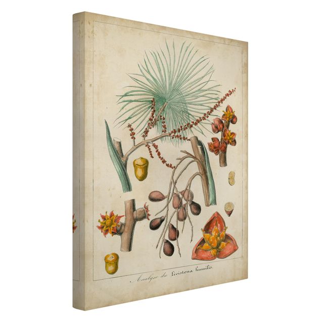 Tableau floral Tableau Vintage Palmiers exotiques III
