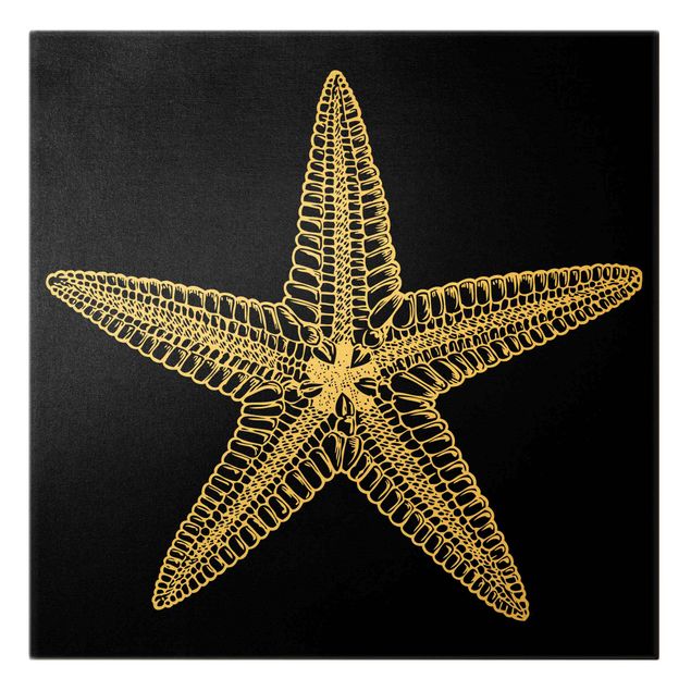 Tableaux noirs Illustration étoile de mer sur fond noir