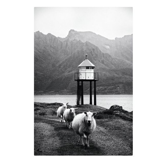 Tableaux noir et blanc Trois moutons sur les Lofoten