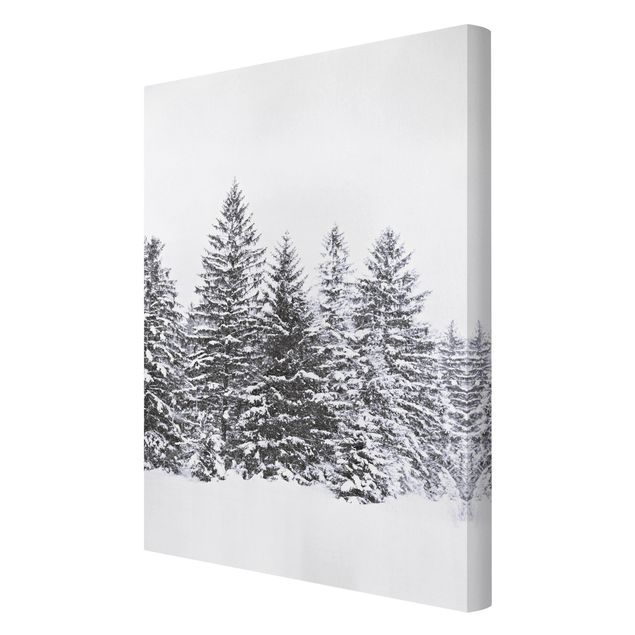 Tableau toile paysage Paysage d'hiver sombre