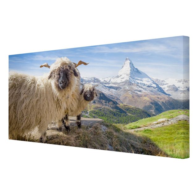 Tableaux moderne Moutons à nez noir de Zermatt