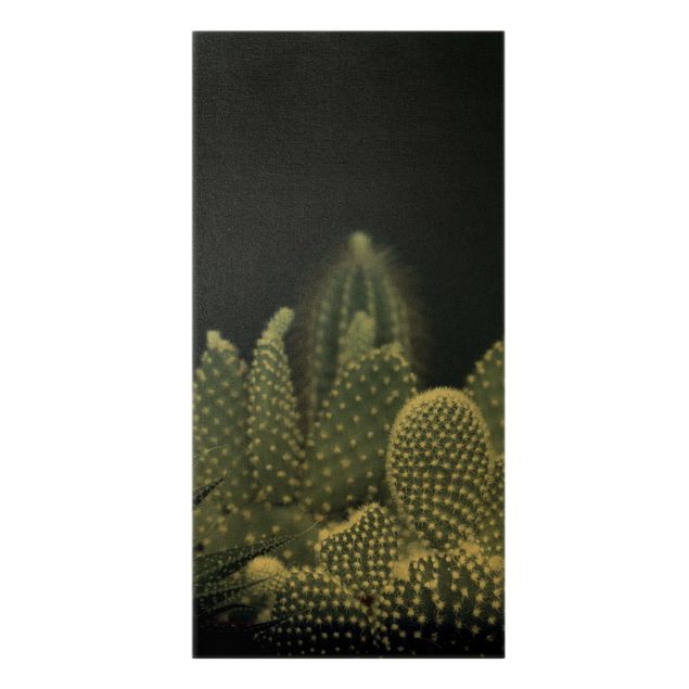 Tableau vert Famille de cactus la nuit