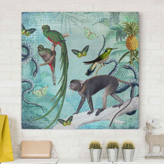 Décorations cuisine Collage de style colonial - Singes et oiseaux de paradis