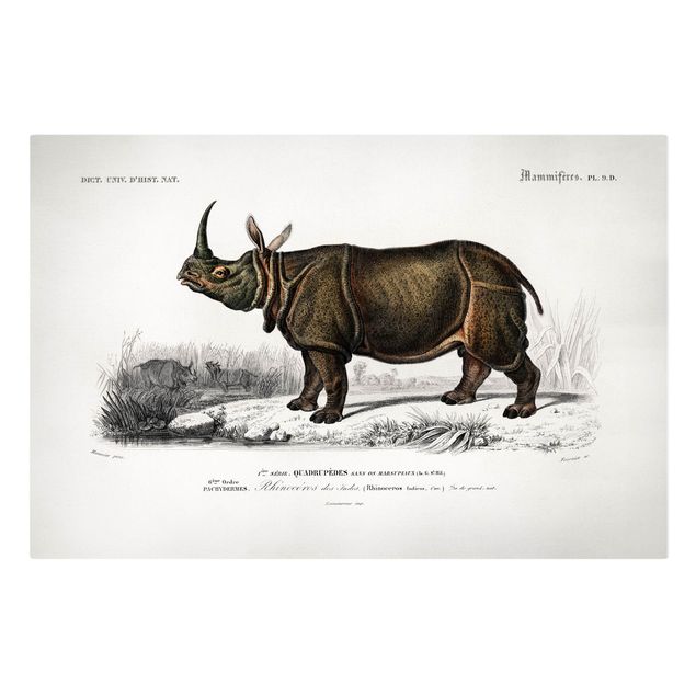Tableau deco nature Tableau Botanique Rhino