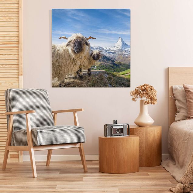 Tableau paysages Moutons à nez noir de Zermatt