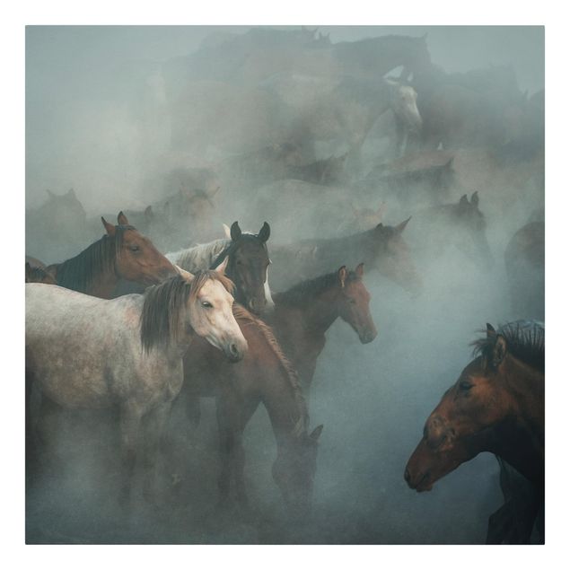 Tableaux animaux Wild Horses
