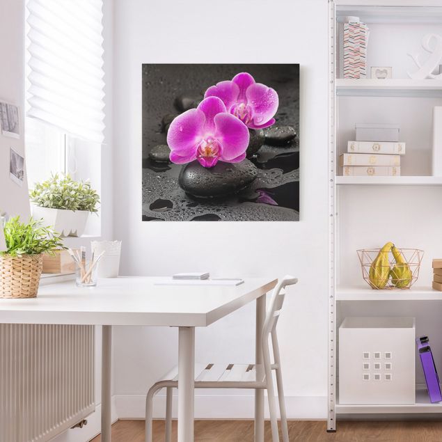 Tableau orchidée Fleur Orchidée Rose sur Pierres avec Gouttes