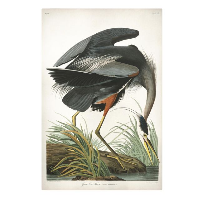 Tableau toile animaux Tableau Botanique Blue Heron