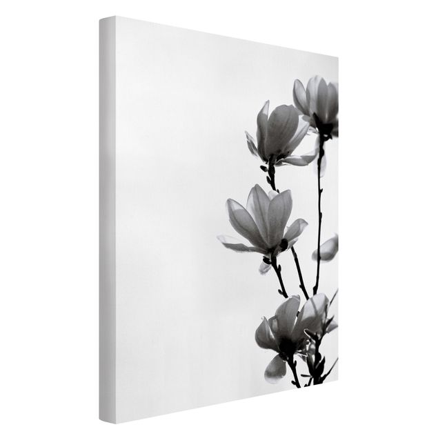 Tableaux sur toile en noir et blanc Herald du Printemps Magnolia Noir Et Blanc