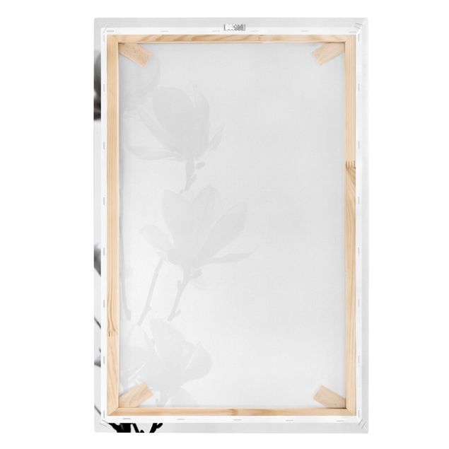 Impressions sur toile Herald du Printemps Magnolia Noir Et Blanc