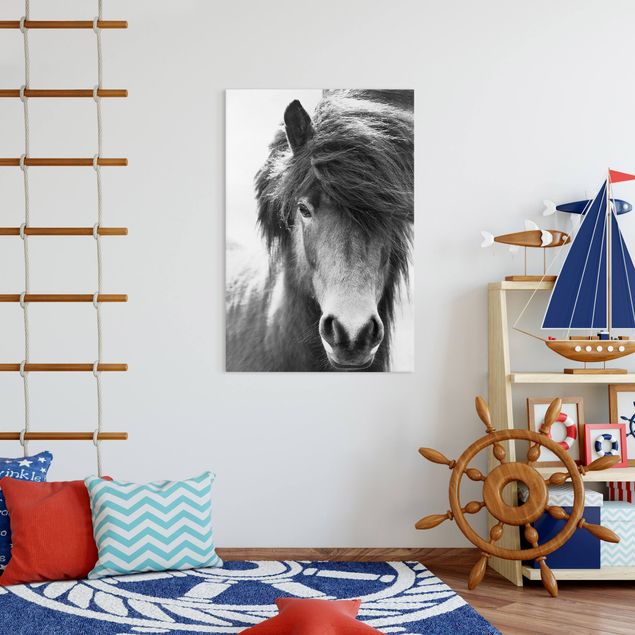 Tableau toile chevaux Cheval islandais en noir et blanc