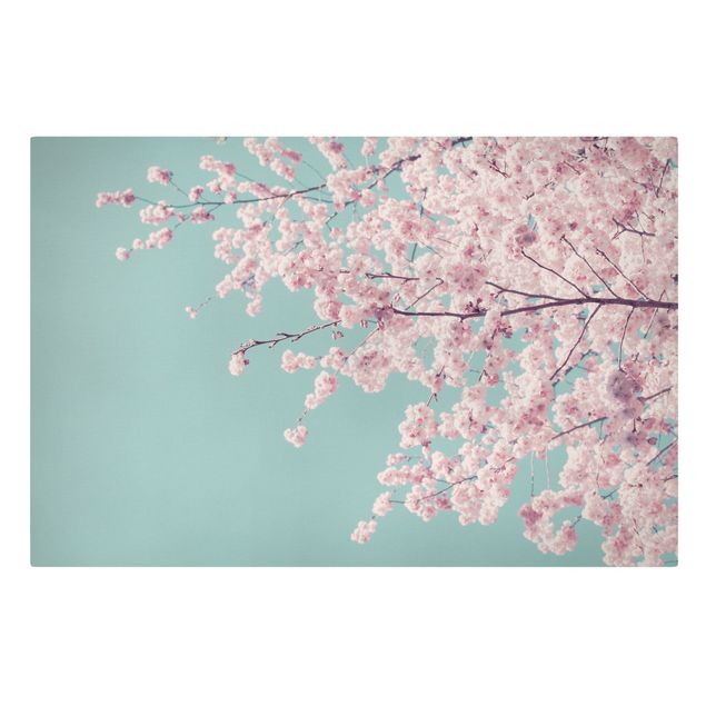 Tableaux rose Japanese Cherry Blossoms