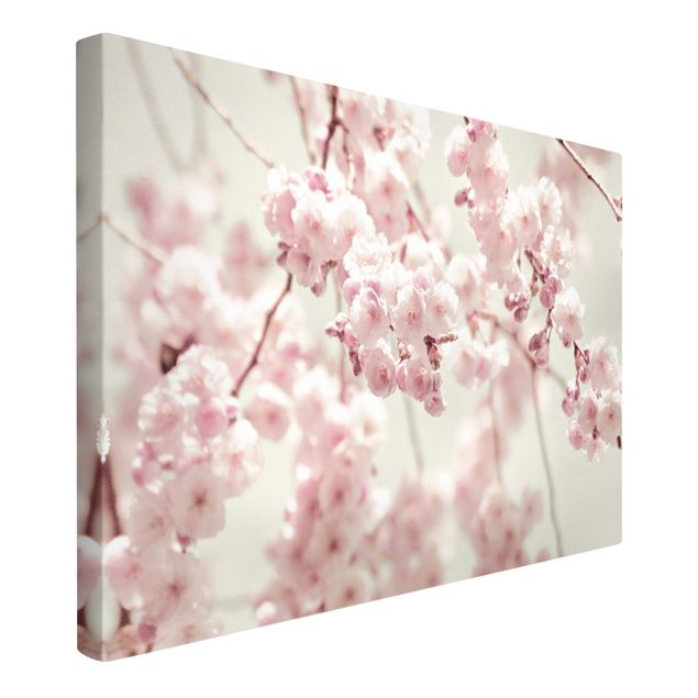 Tableaux florals Fleurs de cerisier dansantes