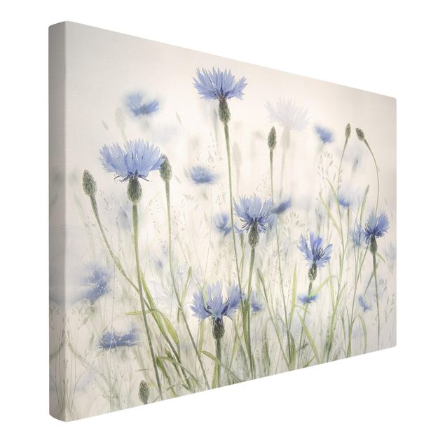 tableaux floraux Bleuets et Herbes dans un champ