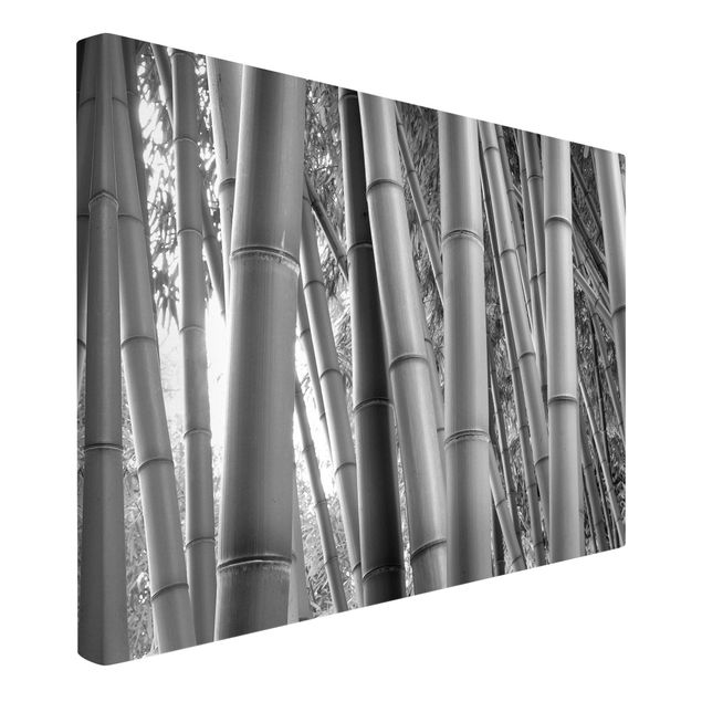 Tableaux arbres Bamboo