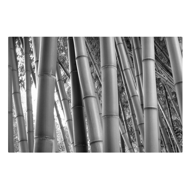 Tableaux bambou Bamboo