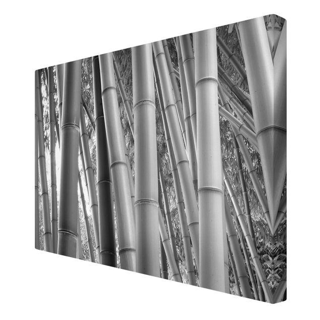 Tableaux modernes Bamboo