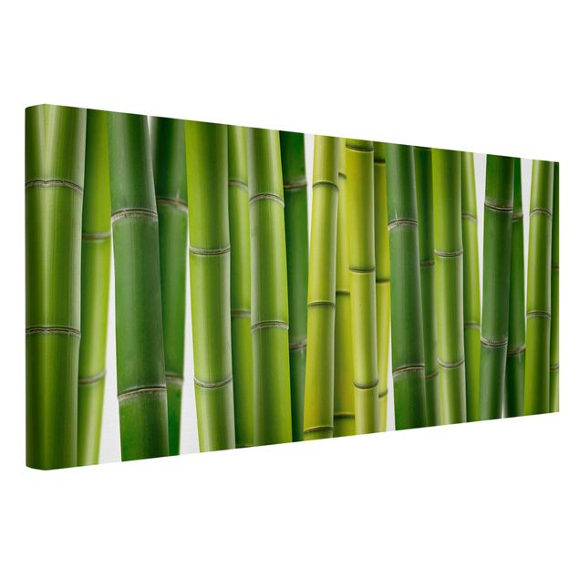 Tableau arbres Plantes de bambou