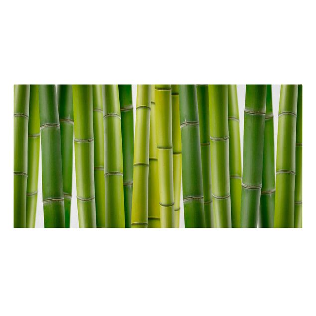 Tableau bambou Plantes de bambou