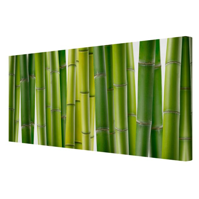 Tableau moderne Plantes de bambou
