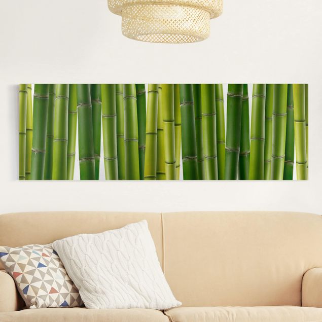 Toile imprimée bambou Plantes de bambou