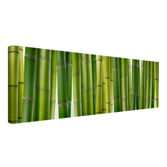 Tableau arbres Plantes de bambou