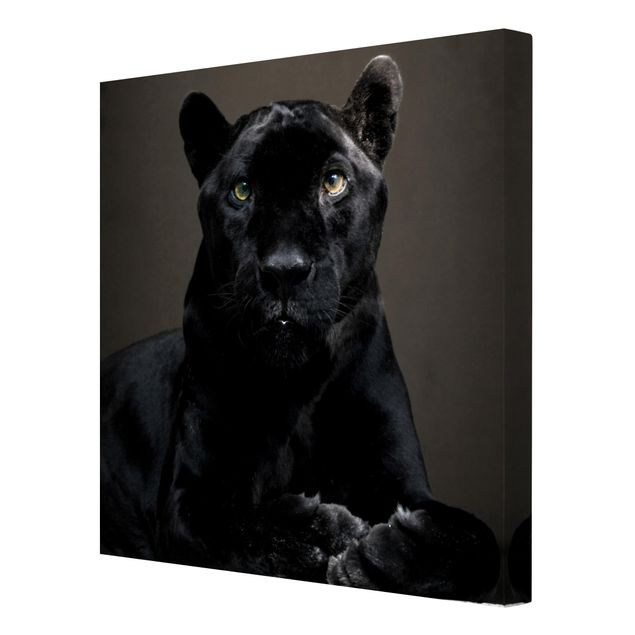 Tableau toile animaux Puma noir