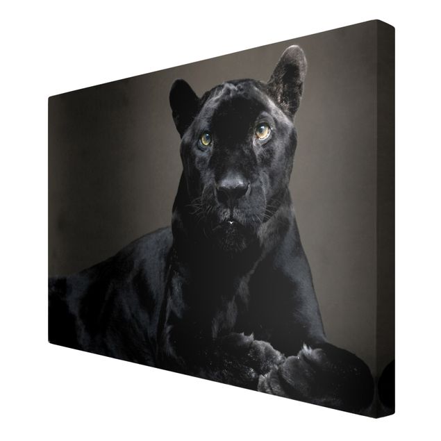 Tableau toile animaux Puma noir