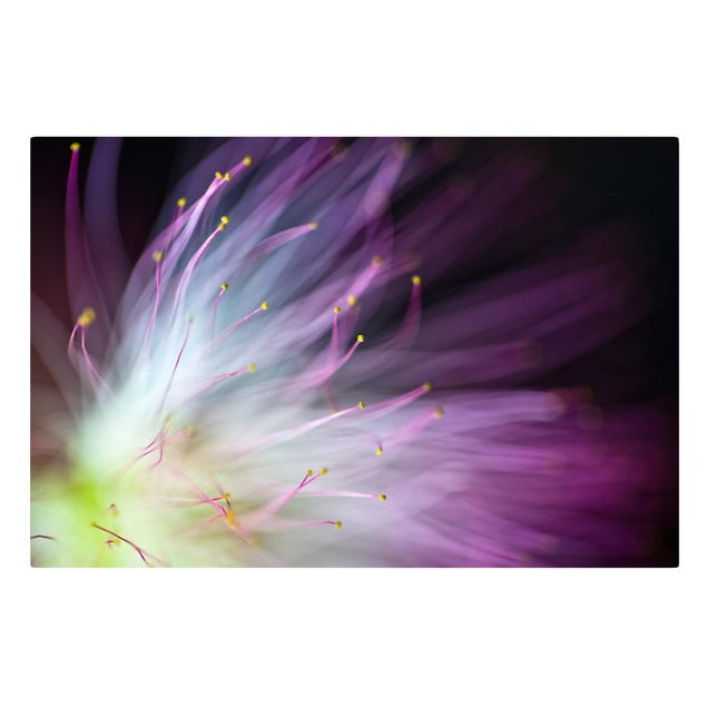 Tableaux lilas Pollen
