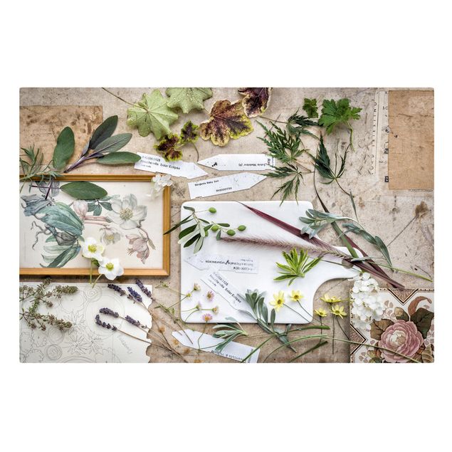 Tableaux sur toile avec épices & herbes Fleurs et herbes de jardin Vintage