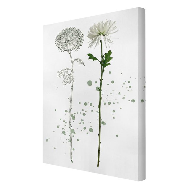 Tableaux florals Botanique à l'aquarelle - Pissenlit
