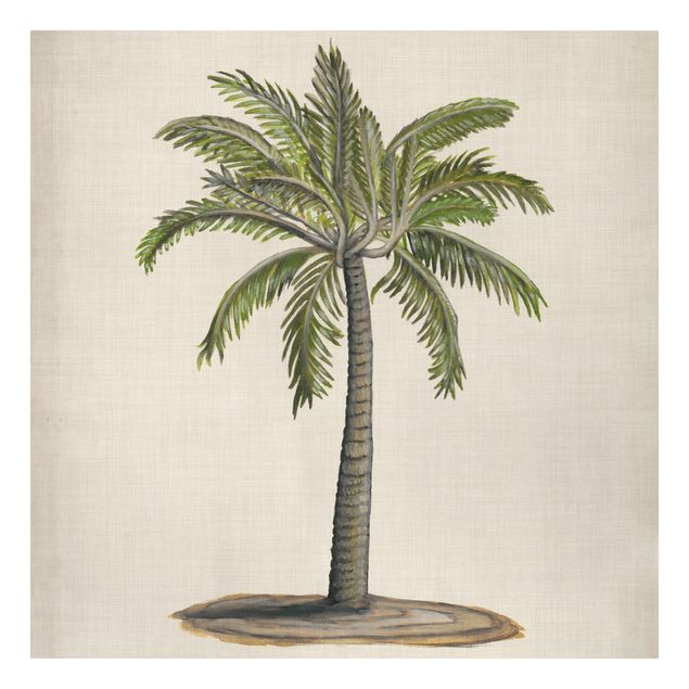 Tableaux nature British Palms I