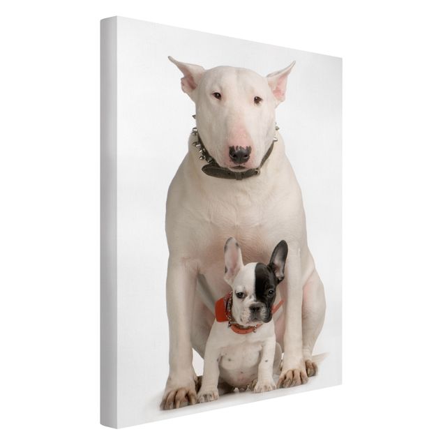 Tableaux modernes Bull Terrier et son ami