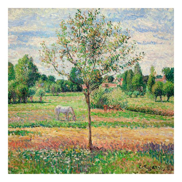 Courant artistique Postimpressionnisme Camille Pissarro - Prairie avec cheval gris, Eragny