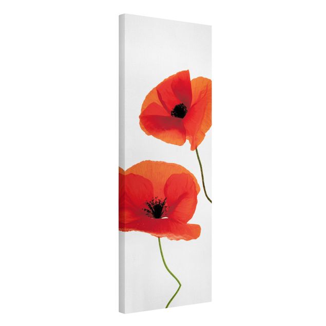 Toile coquelicot Charming Poppies