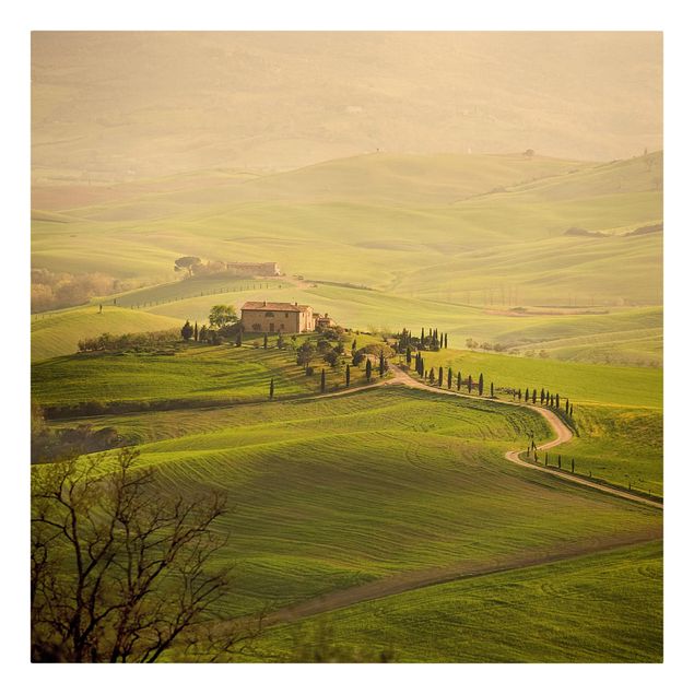 Tableau toile paysage Chianti Toscane