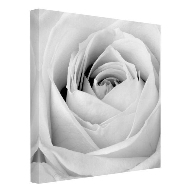 Tableau sur toile fleurs Close Up Rose
