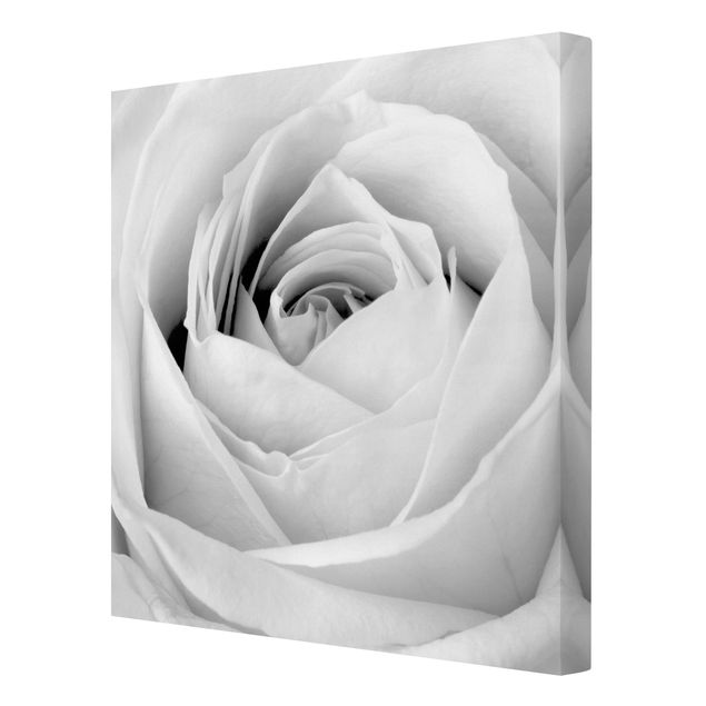 Tableaux noir et blanc Close Up Rose